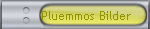 Pluemmos Bilder